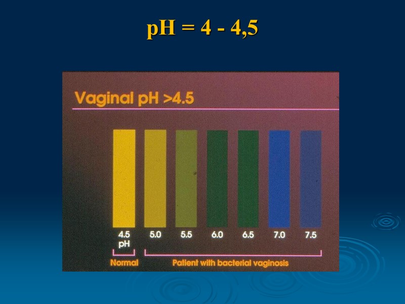 pH = 4 - 4,5